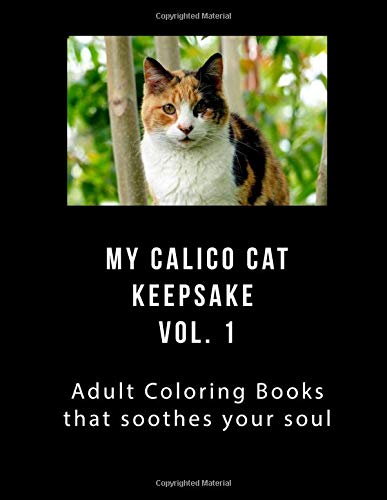 adult calico cat