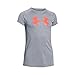Under Armour UA Big Logo Youth X-Large True Gray Heather
