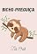 Livro Bicho-preguiça