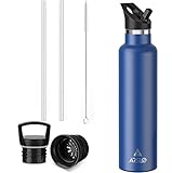 Arslo Stainless Steel Water Bottle with Straw