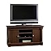 Sauder Palladia Panel TV Stand, For TV's up to 50