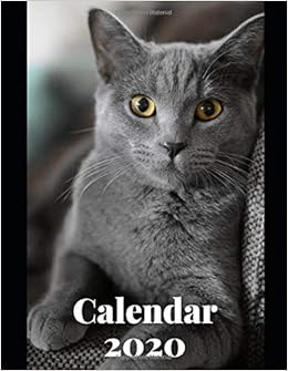 British Shorthair Cats Calendar 2020 Animals Cats Calendar 2020
