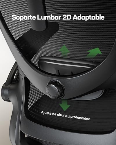 Silla Oficina Ergonómica, Silla Escritorio Ergonómica con Reposacabezas 2D Ajustable, Soporte Lumbar 2D, Reposabrazos Plegables 3D, Ajuste de Altura, Silla Oficina Giratoria hasta 136 kg