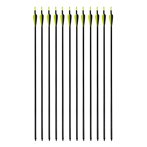 Boshen 32" Archery Fiberglass Arrows Hunting Targeting Practice Arrows+3 Blade Broadheads for Recurve or Compound Bow-12 Pack