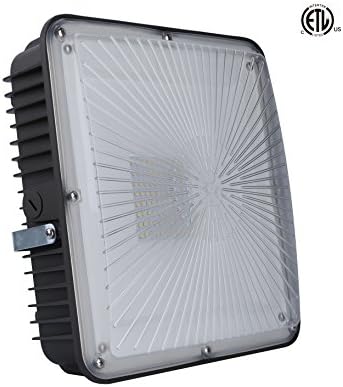 ELECALL 60W LED Canopy Light, (up to 250W HPS/HID Replacement), 5000K(Daylight white), 6900 Lumens, Clear Lens, 10.4" x 10.4", Waterproof and Outdoor Rated, ETL-Listed