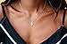 Rosa Vila Pineapple Necklace, Tiny Pineapple Jewelry for Women, Symbolizes Friendship and Generosity, Pineapple Things for Girls, Tropical Jewelry Gift, Pineapple Gifts for Women (Rose Gold Tone)