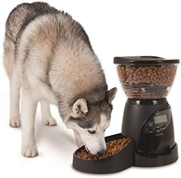 Petmate Le Bistro Portion Control Feeder Medium 5 Lb Amazon Co