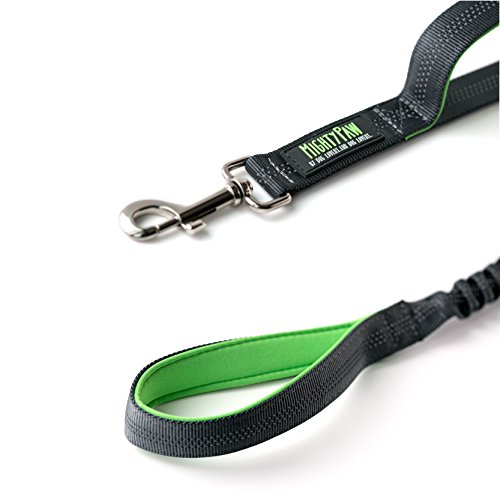 Mighty Paw Dual Handle Bungee Dog Leash, Premium Quality Bungee