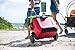 Coleman Rugged A/T Wheeled Cooler, 55 Quart