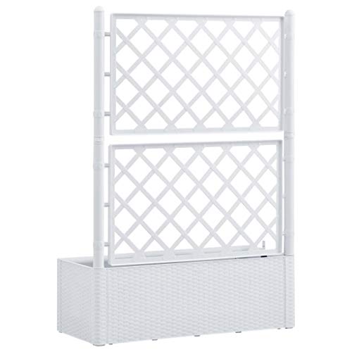 vidaXL Garten Hochbeet mit Spalier Selbstbewässerungssystem Rattan-Design Gartenspalier Blumenkübel Pflanzkasten… – Bild 7
