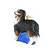 Old World Christmas Bernese Mountain Dog Glass Blown Ornament