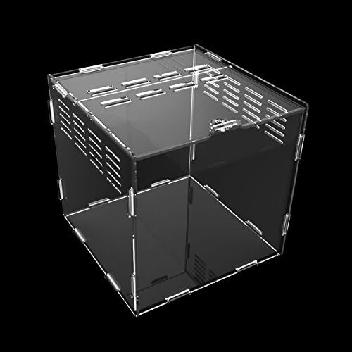 Dalle Craft Acrylic tarantula cage Panoramic Reptile Terrarium Habitat for juvenile and small arboreal chameleon snails or other Larval Reptiles (7.87x7.87x7.87inch)