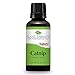 Plant Therapy Catnip Essential Oil 100% Pure, Undiluted, Natural Aromatherapy, Therapeutic Grade 30 mL (1 oz)