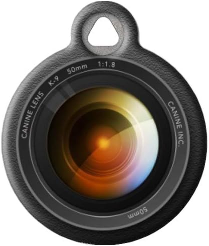 royal canin glycobalance dry dog food