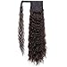 AISI BEAUTY Curly Ponytail Extension Clip Magic Paste in Ponytail for Women Synthetic Wavy Wrap Around Ponytail Extension Clip in Hairpiece and Ponytail (22 Inches,2/33#)