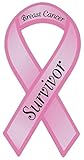 Pink Ribbon Shaped Awareness Magnet - Breast Cancer