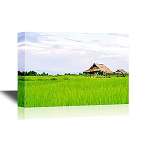 Landscape Green Rice Field