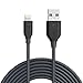 Anker Powerline Lightning (10ft) Apple MFi Certified Lightning Cable/Charger Cord, for iPhone X / 8/8 Plus / 7/7 Plus / 6 / 6s Plus / 5 / 5s, iPad Mini 4/3 / 2, iPad Pro Air 2(Gray)