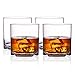 MICHLEY Rock Style Old Fashioned Whiskey Glasses 9 OZ,100% Tritan Plastic Short Glasses For Camping/Party,Set of 4