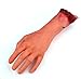 Gillberry Human Arm Hand Bloody Dead Body Parts Haunted House Halloween Prop (left)