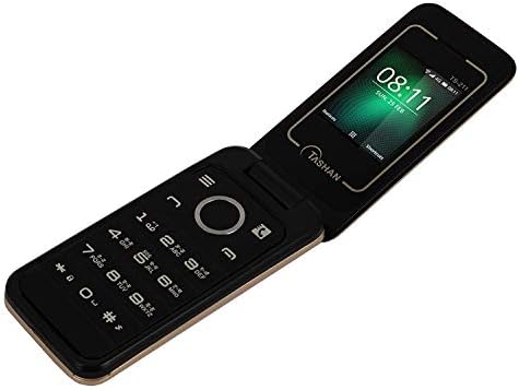 ICHCHASHAKTI Tashan ts-211 Flip Mobile Phone (Gold)