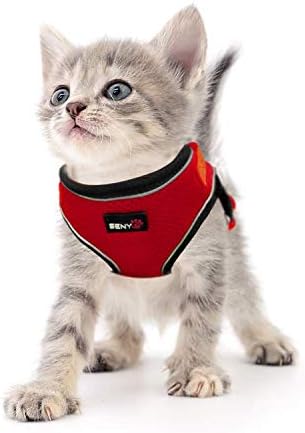SENYEPETS Breathable Mesh Cat Harness and Leash with Durable D Ring and Metal Lock System, Escape Proof Vest with Adjustable Straps for Puppy Kitty Rabbit.
