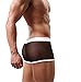 HP95(TM) Men's Bikini Underwear, Low Waist Mesh Transparent Sexy Boxers Bulge Comfy Shorts Underpants Underwear (L, D)