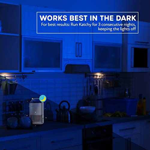 4 Original+Indoor+Insect+Trap+Non+Toxic