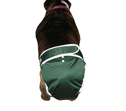 no tail hole dog diapers