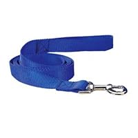 Guardian Gear Basic Nylon Dog Leash, 6-Feet x 1-Inch Lead, Blue