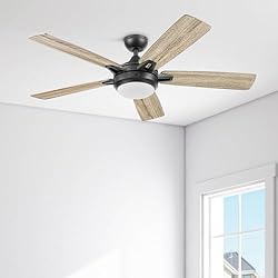 Prominence Home 51649-01 Lorelai Smart Ceiling Fan