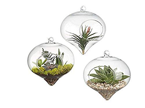 Pack of 3 Hanging Terrarium Glass Vase Flower Air Plant Pot Container Home Office Wedding Decoration Heart Shape