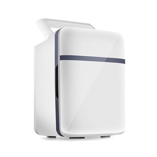 Nevera Coche portatil Mini Nevera eléctrica Calentador Portátil ...