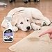 EBPP Odor & Stain Eraser - Made in The USA - Pet Odor Absorber and Room Deodorizer for Home Use - Odor Remover and Urine Odor Eliminator - Lavender Enzyme Carpet Cleaner