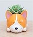 Cuteforyou Cute Animal Shaped Cartoon Home Decoration Succulent Vase Flower Pots (Plant Not Included)