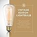 Amber Dimmable Incandescent Light Bulbs 60 Watt ST64 Style - 4 Pack Edison Bulbs, E26 | E27 Base, 2200K Warm White, 210 Lumens, Vintage Exposed Filament, 2500 Hr Lifespan, for Indoor & Outdoor Use