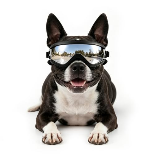 LESYPET Dog Goggles