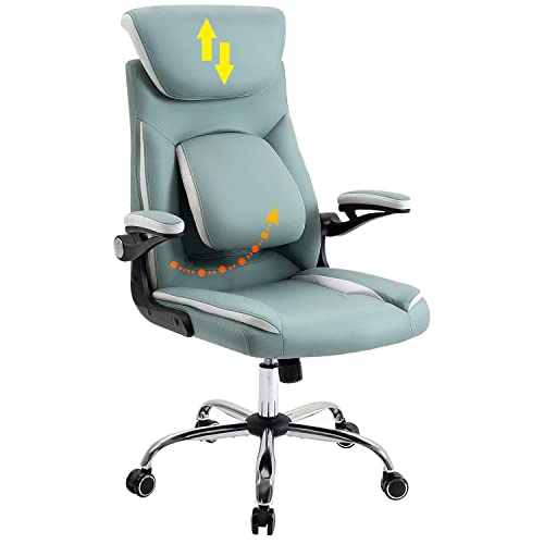 YAMASORO Ergonomic Executive Office Chair High Back Computer Desk