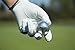 Chromax High Visibility M1x Golf Balls 6-Pack, Silver