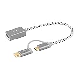 CableCreation Micro USB + USB C to USB 2.0 Female Adapter Cable, 0.6ft Short USB C and Micro USB OTG Cable, Compatible with Pixel 3 XL 2 XL, Galaxy S10/S10+/S9/S9+, 0.18M / Space Gray