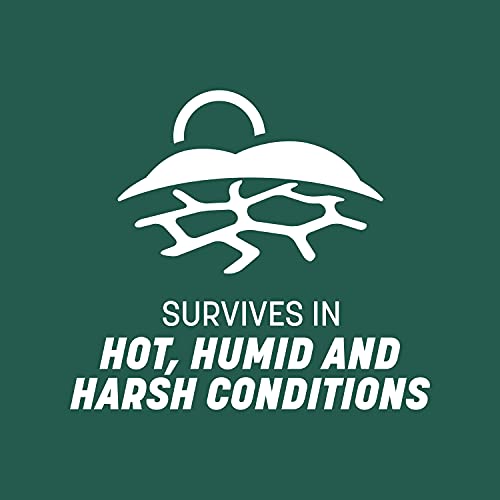 Pennington Smart Seed Sun and Shade Tall Fescue Grass Seed Mix for