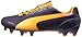 PUMA Men's evoSPEED 1.2 FG Soccer Cleat