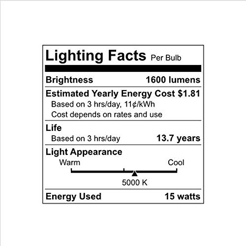 GE SOFT WHITE 100W REPLACEMENT LED GENERAL PURPOSE LIGHT BULBS A19 (4 PACK)