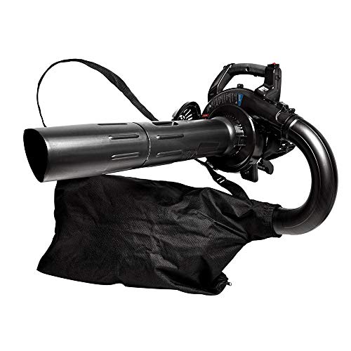 CRAFTSMAN Gas Powered Leaf Blower and Vacuum, Handheld Gas Blower