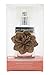 Wild Bloom Banana Republic by Banana Republic 1.0 oz Edp Spray for Women