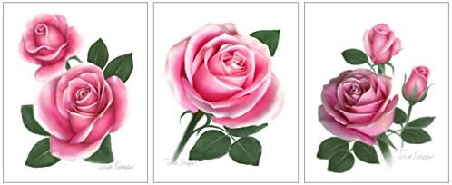Set of 3 Rose Prints 8x10 UNFRAMED