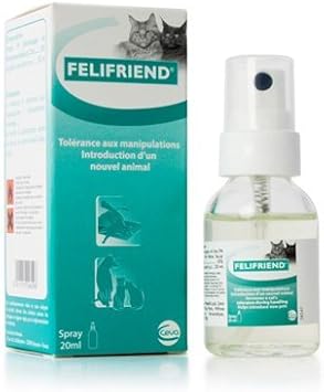 felifriend