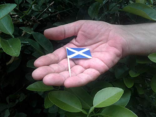 Scotland Scottish Toothpick Garnish Flags by Nesha (100 pack)