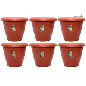 GREENTRESS Green Tress 10 Inch Planter Pot (100% Virgin) Pack of 6 – Brown