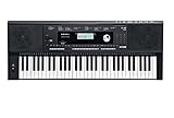 Kurzweil KP100